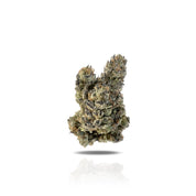 PUFFY Gascotti is a rare indica-dominant hybrid THCa strain created from the popular Biscotti and an undisclosed hybrid, resulting in a potent and flavorful experience. It carries a bold, gassy aroma layered with spicy diesel, earthy herbs, and subtle nutty notes. The flavor is sweet and sugary with nutty richness, finishing with hints of spicy diesel and earth on the exhale. Visually, the buds are airy and spade-shaped, showcasing a forest green color with emerald undertones, thin orange hairs, and a frost