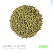 PUFFY Gelato 33 (smalls) is a balanced hybrid THCa strain bred from the exceptional pairing of Sunset Sherbet and Thin Mint GSC. The aroma bursts open with a bold fusion of fruity sweetness layered over gassy undertones and sharp chemical nuances. Visually, dense deep forest green buds with purple hues and fiery orange pistils are coated in sticky trichomes. Consumers often report euphoric, uplifting effects that promote mental clarity, elevate mood, ease stress, and enhance creativity and social interactio