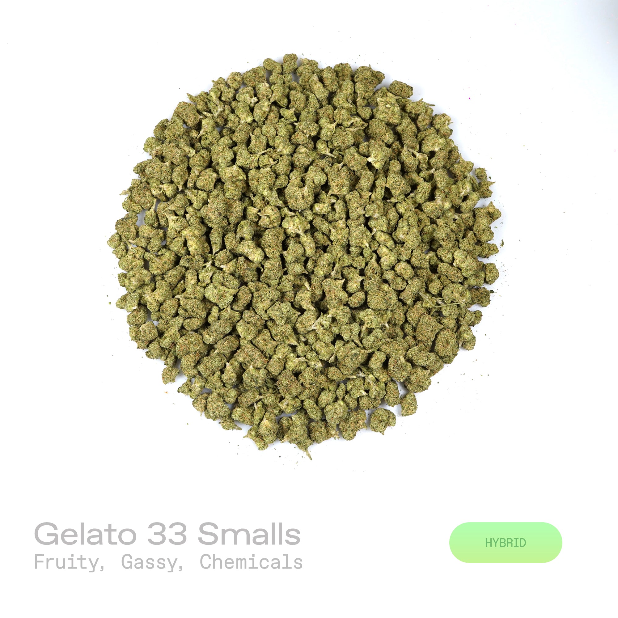 PUFFY Gelato 33 (smalls) is a balanced hybrid THCa strain bred from the exceptional pairing of Sunset Sherbet and Thin Mint GSC. The aroma bursts open with a bold fusion of fruity sweetness layered over gassy undertones and sharp chemical nuances. Visually, dense deep forest green buds with purple hues and fiery orange pistils are coated in sticky trichomes. Consumers often report euphoric, uplifting effects that promote mental clarity, elevate mood, ease stress, and enhance creativity and social interactio