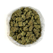 PUFFY Gelato 41 is a hybrid THCa strain, crafted from the fusion of Sunset Sherbert and Thin Mint Cookies. Users reported its ability to deliver a deeply relaxing body high while keeping the mind clear, it’s a favorite for unwinding without losing focus. Its visually stunning buds showcase a spectrum of colors, from light green to vibrant purple, all dusted with trichomes that emit a sweet, earthy aroma with subtle hints of lavender and pine.