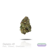 PUFFY Gelato 41 is an indica-dominant hybrid THCa strain, expertly crafted from a potent cross between Sunset Sherbet and Thin Mint Cookies. The aroma is rich with pungent Fuel and sharp Diesel notes, complemented by a distinctly chemical-like finish. Visually, buds are dense and frosty, featuring deep green and purple hues with bright orange pistils and a thick coating of sparkling trichomes. Consumers often report an uplifting euphoria that energizes the mind, boosts creativity, and sparks a sense of blis