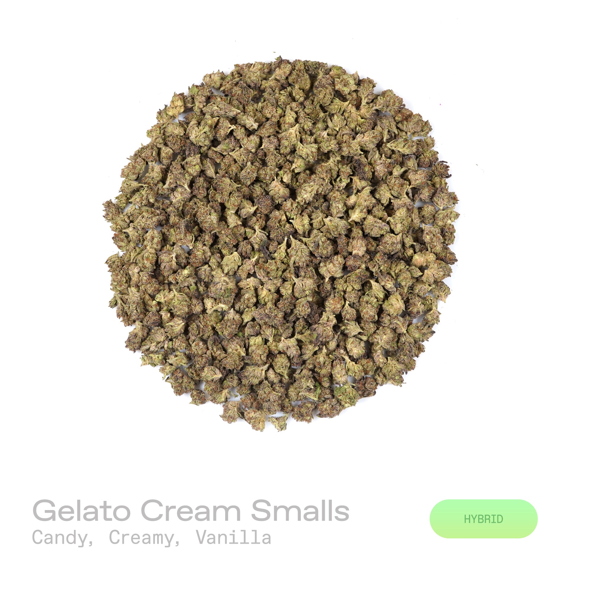 PUFFY Gelato Cream (smalls) is a balanced hybrid THCa strain bred through the premium union of Wedding Cake and Gelato 33. The aroma of this strain is a rich blend of sweet candy notes layered with creamy undertones and smooth vanilla. Visually, dense deep forest green buds with purple hues and fiery orange pistils are coated in sticky trichomes. Consumers often report feeling euphoric, energetic, uplifted, creative, joyful, and gently relaxed, creating a balanced and mood-enhancing experience that supports