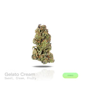 PUFFY Gelato Cream is a balanced hybrid THCa strain bred through the premium union of Wedding Cake and Gelato 33. The aroma is a rich blend of sweet, creamy undertones layered with bright, juicy fruit notes. Visually, dense deep forest green buds with purple hues and fiery orange pistils are coated in sticky trichomes. Consumers often report feeling euphoric, energetic, uplifted, creative, joyful, and gently relaxed, creating a balanced and mood-enhancing experience that supports both mental stimulation and