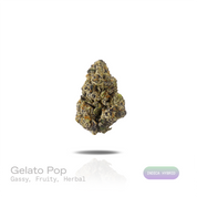 PUFFY Gelato Pop is an indica-dominant hybrid THCa strain created by selectively blending Gelato and Triangle Kush. The aroma is a bold fusion of gassy sharpness, ripe fruity sweetness, and layered herbal undertones. Visually, dense forest green buds with purple hues and fiery orange pistils are coated in sticky trichomes. Consumers often report an uplifting blend of euphoria, soothing relaxation, elevated mood, effective stress relief, and calming anxiety-reducing effects. 