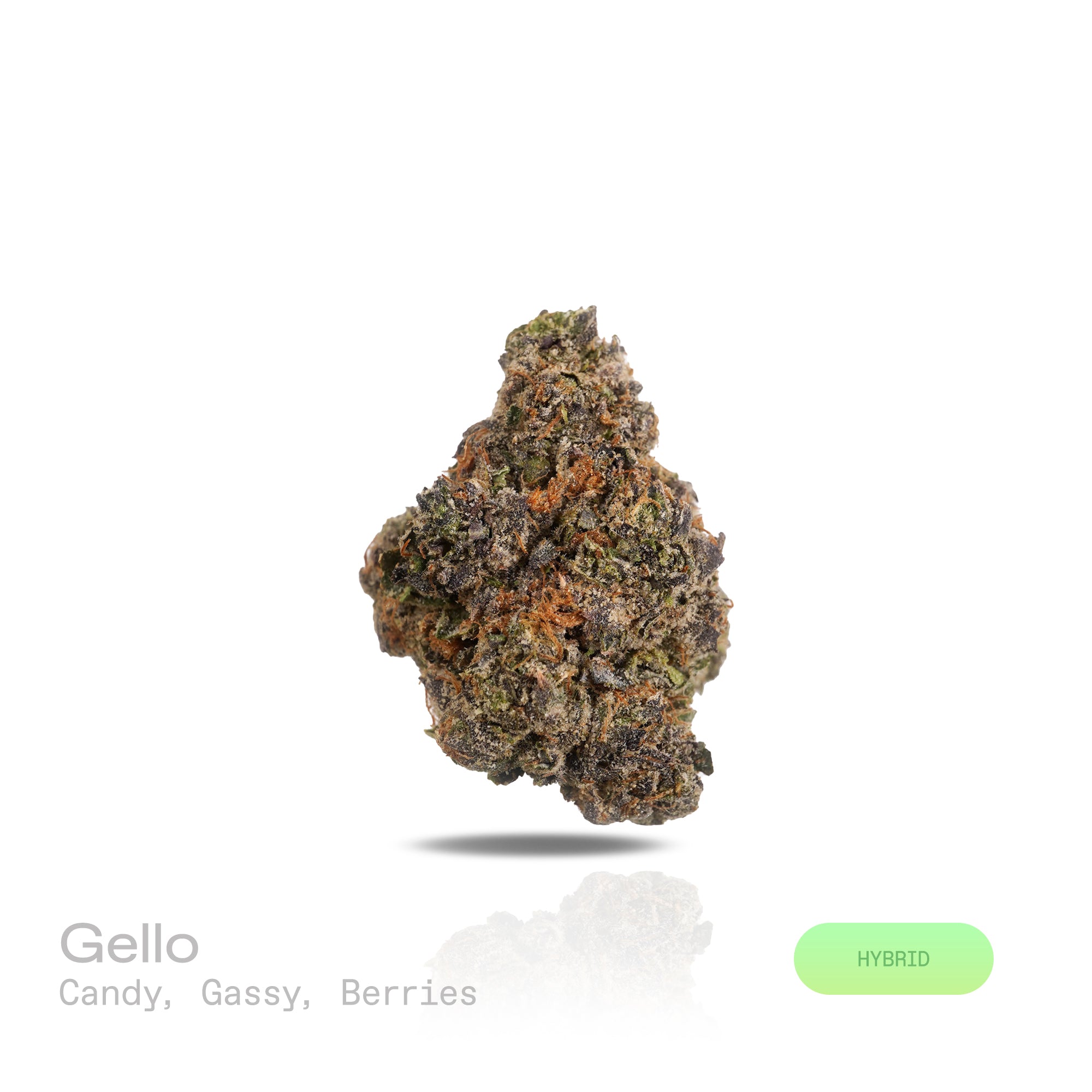 PUFFY Gello is a balanced hybrid THCa strain, born from the flavorful cross of Bacio Gelato and Mochi Gelato. The aroma blends sweet candy notes with a gassy edge and a hint of ripe berries. Visually, the buds are bright neon green with deep amber hues, vivid orange pistils, and a dense coating of chunky amber trichomes. Consumers often describe the effects as an uplifting, euphoric rush that sparks creativity, gradually giving way to deep physical relaxation and enhanced mood. 
