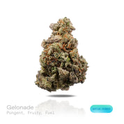 PUFFY Gelonade is a sativa-dominant hybrid THCa strain resulting from the expertly blended union of Lemon Tree with Gelato #41. The aroma is intensely pungent, layered with ripe fruity notes and a distinct fuel-like character. Visually, dense forest green buds with purple hues and fiery orange pistils are coated in sticky trichomes. Consumers often report a bright, uplifting experience with a clear-headed cerebral buzz that boosts creativity, focus, and sociability, all balanced by a gentle, calming body ef