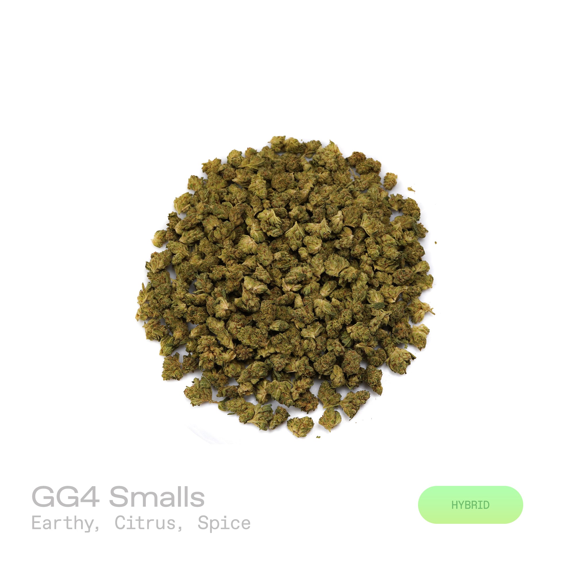 PUFFY GG4 (smalls) also known as Gorilla Glue #4 is a potent hybrid THCa strain, created from a cross between Chem’s Sister, Sour Dubb, and Chocolate Diesel. The aroma combines earthy notes with bright citrus accents and a hint of spice, creating a warm and invigorating scent profile. Visually, the buds are dense and chunky, showcasing a vibrant green color accented by fiery orange pistils. Consumers frequently report an intense euphoric high, marked by an uplifting mental buzz that promotes happiness, care