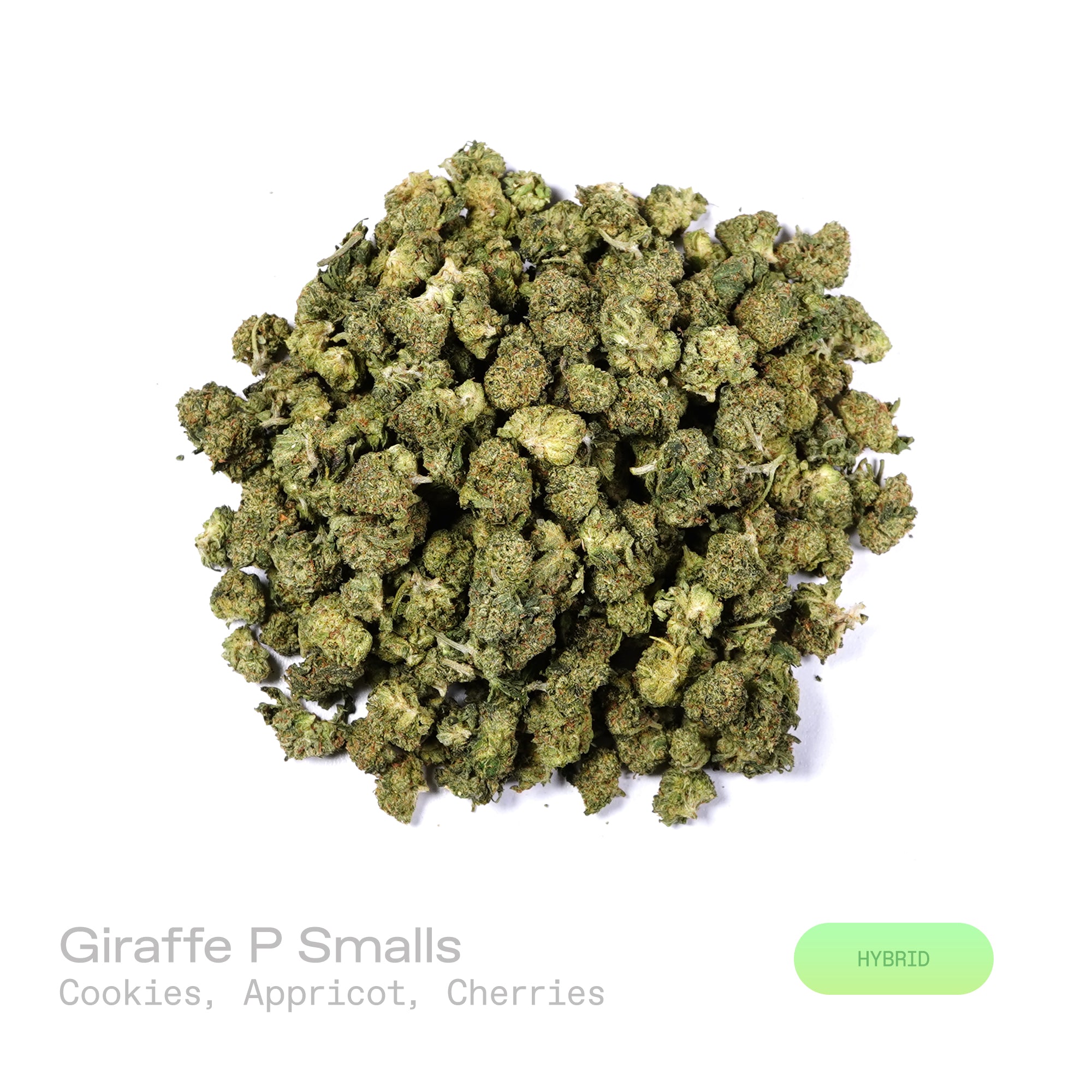 PUFFY Giraffe P (smalls) is a balanced hybrid THCa strain emerging from the complex union of Original Z and Animal Mints. The aroma opens with a rich, cookie-like sweetness, complemented by luscious apricot notes and the juicy, fruity essence of ripe cherries. Visually, dense forest green buds with purple hues and fiery orange pistils are coated in sticky trichomes. Consumers often report euphoric and uplifting effects accompanied by enhanced creativity and increased energy.