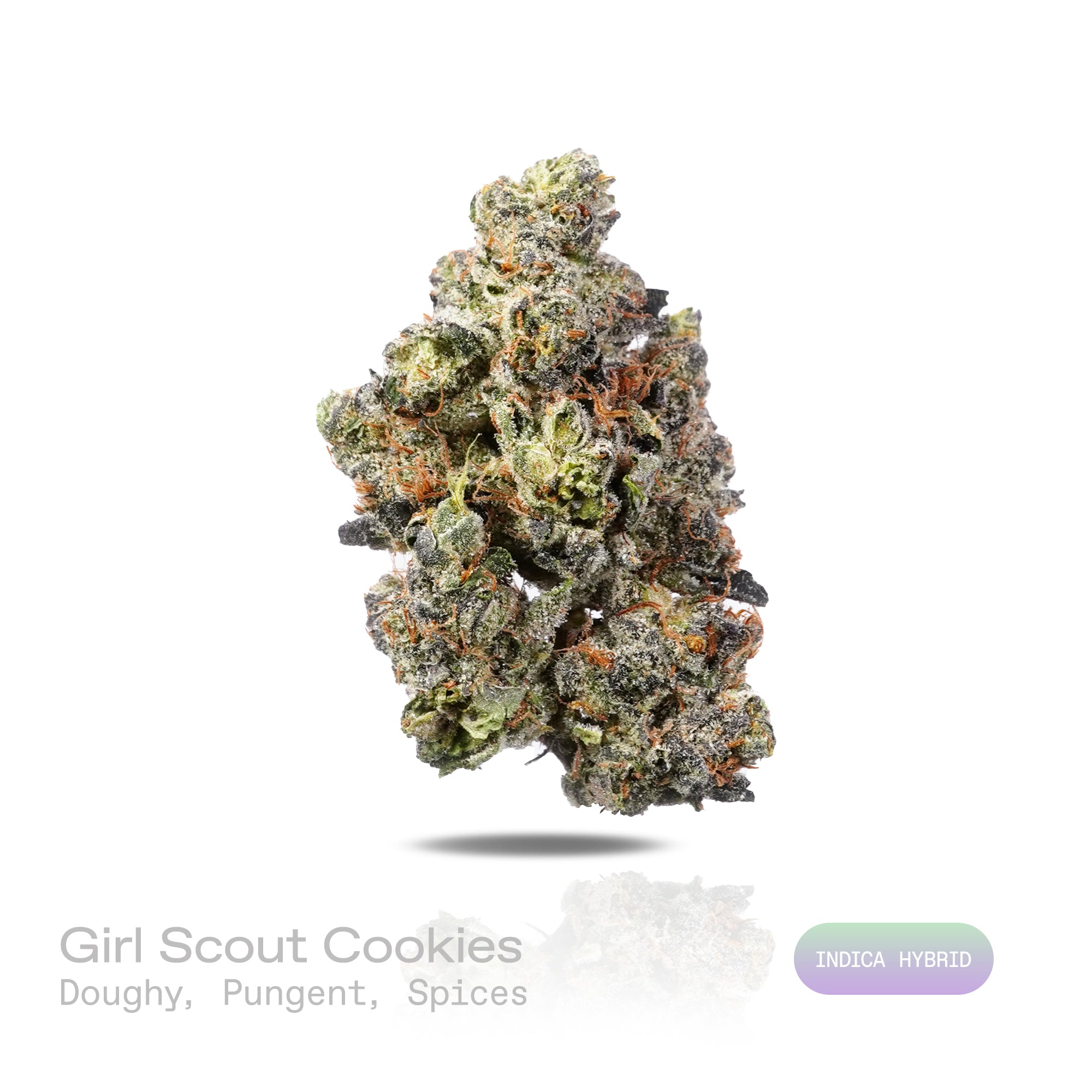 PUFFY Girl Scout Cookies is an Indica-dominant hybrid THCa strain born from the legendary cross of OG Kush and Durban Poison. TThe aroma blends rich, doughy notes with a pungent scent and warm, spicy undertones. Visually, dense forest green buds with purple hues and fiery orange pistils are coated in sticky trichomes. Consumers often report a euphoric high that uplifts the mood, promoting a soothing sense of calm, easing tension, and encouraging a focused mental state.   