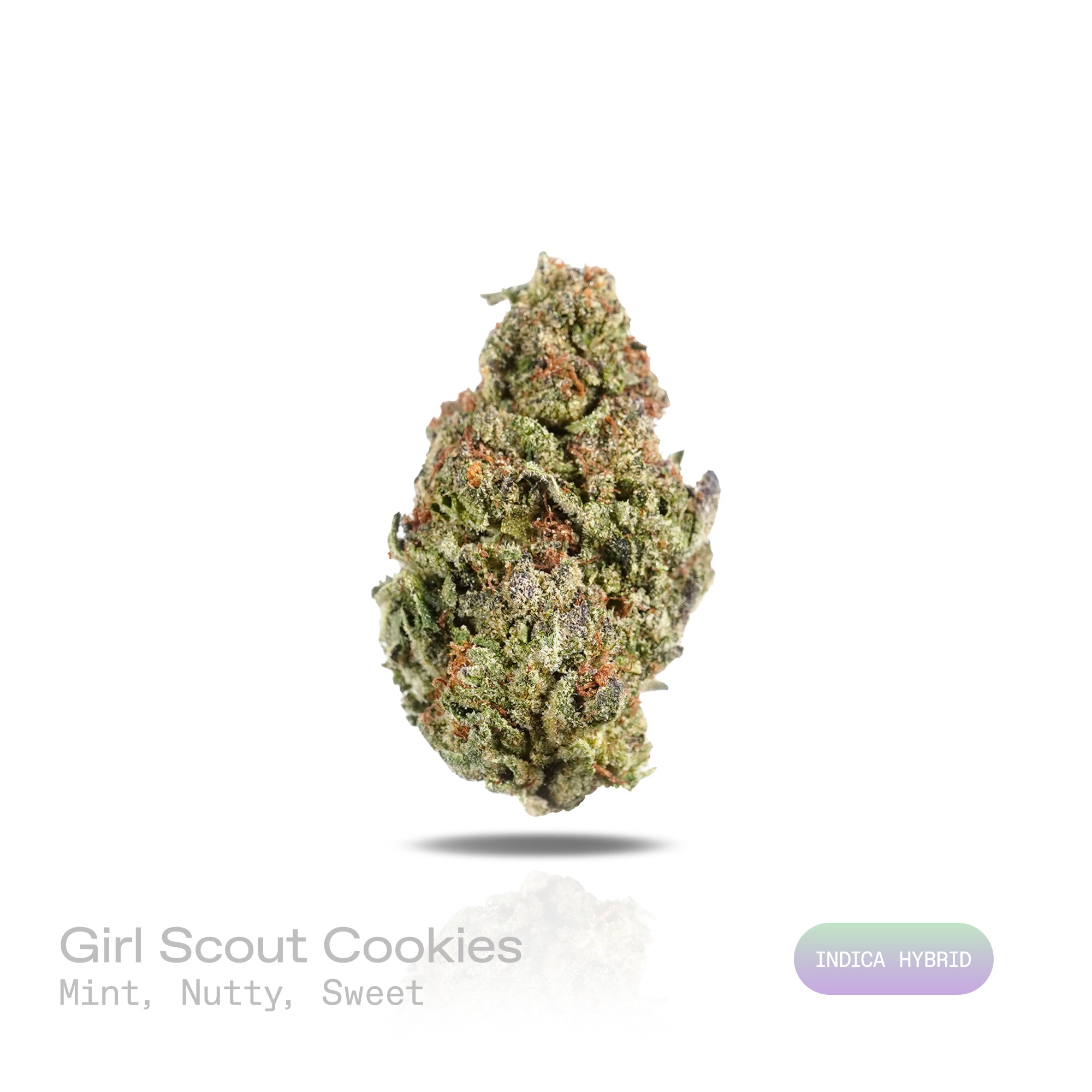 PUFFY Girl Scout Cookies is an Indica-dominant hybrid THCa strain born from the legendary cross of OG Kush and Durban Poison. The aroma blends cool mint and refined nutty notes, complemented by a lingering sweet finish. Visually, dense forest green buds with purple hues and fiery orange pistils are coated in sticky trichomes. Consumers often report a euphoric high that uplifts the mood, promoting a soothing sense of calm, easing tension, and encouraging a focused mental state.  