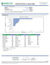 PUFFY Glitter Bomb is an indica-dominant hybrid THCa strain born from the flavorful cross of Grape Gas #10 and OGKB Blueberry Headband. The aroma profile is a rich blend of blueberry, earthy notes, and a skunky finish. Visually, the buds are dense and deep forest green with striking purple hues, bright orange pistils, and a heavy coating of sparkling white trichomes. Consumers report a bright rush of cerebral uplift that gently settles into a soothing, full-body calm, leaving them giggly, focused, and relax