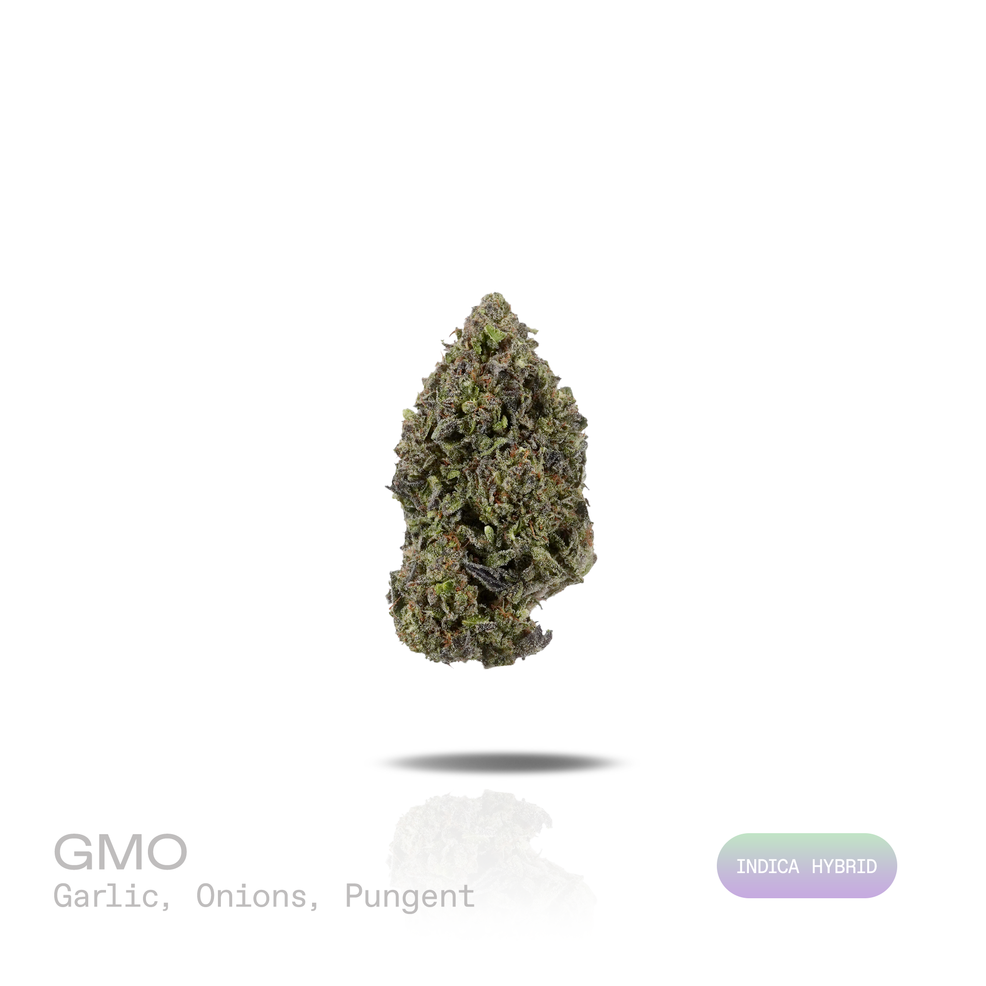 PUFFY GMO, also known as Garlic Cookies, is an indica-dominant hybrid THCa strain crafted from the legendary lineage of Girl Scout Cookies and Chemdawg. The aroma is rich and inviting, blending doughy sweetness with smooth vanilla notes to create a warm, freshly baked cake. Visually, dense deep forest green buds with purple hues and fiery orange pistils are coated in sticky trichomes. Consumers often report euphoric and uplifting mental effects that elevate mood and promote a positive mindset, followed by d