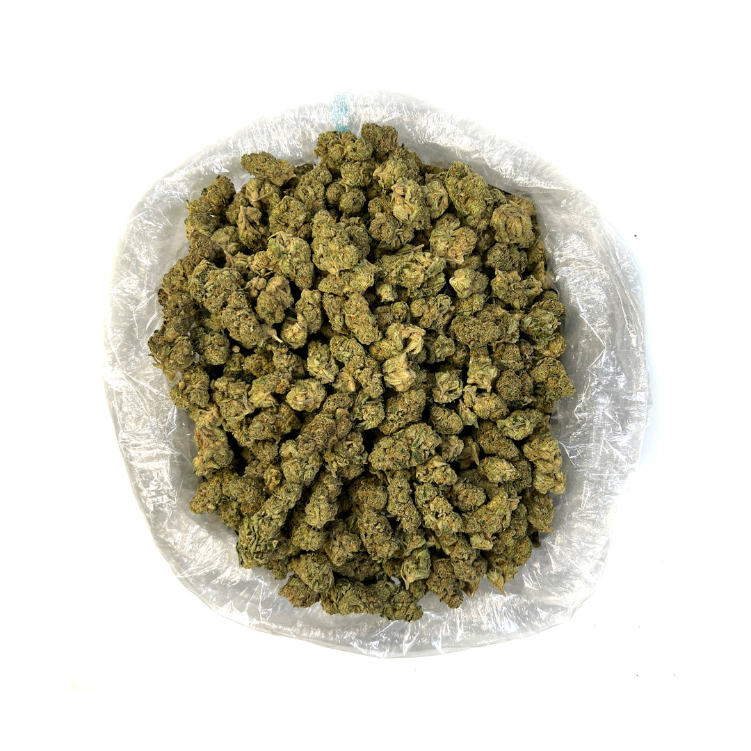 Golden Gas THCa Flower (Indoor) (Indica)