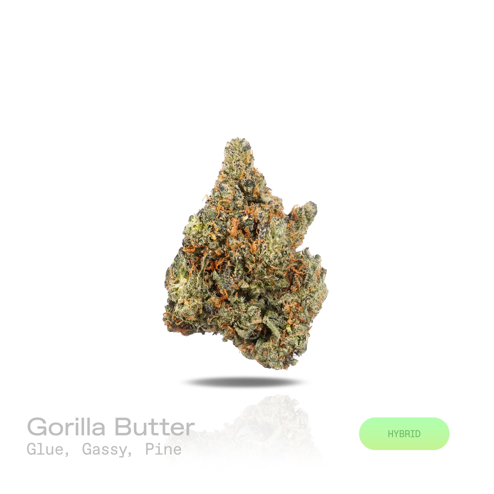 PUFFY Gorilla Butter is a balanced hybrid THCa strain originating from the iconic cross of Gorilla Glue 4 (also known as GG4) and Peanut Butter Breath. The aroma is a potent blend of sticky, glue-like resin, sharp gassy fuel, and fresh, crisp pine. Visually, dense forest green buds with purple hues and fiery orange pistils are coated in sticky trichomes. Consumers often report an euphoric, soothing body relaxation, an uplifted mood, a mild boost in creativity, calmness with a sociable, easygoing vibe. 