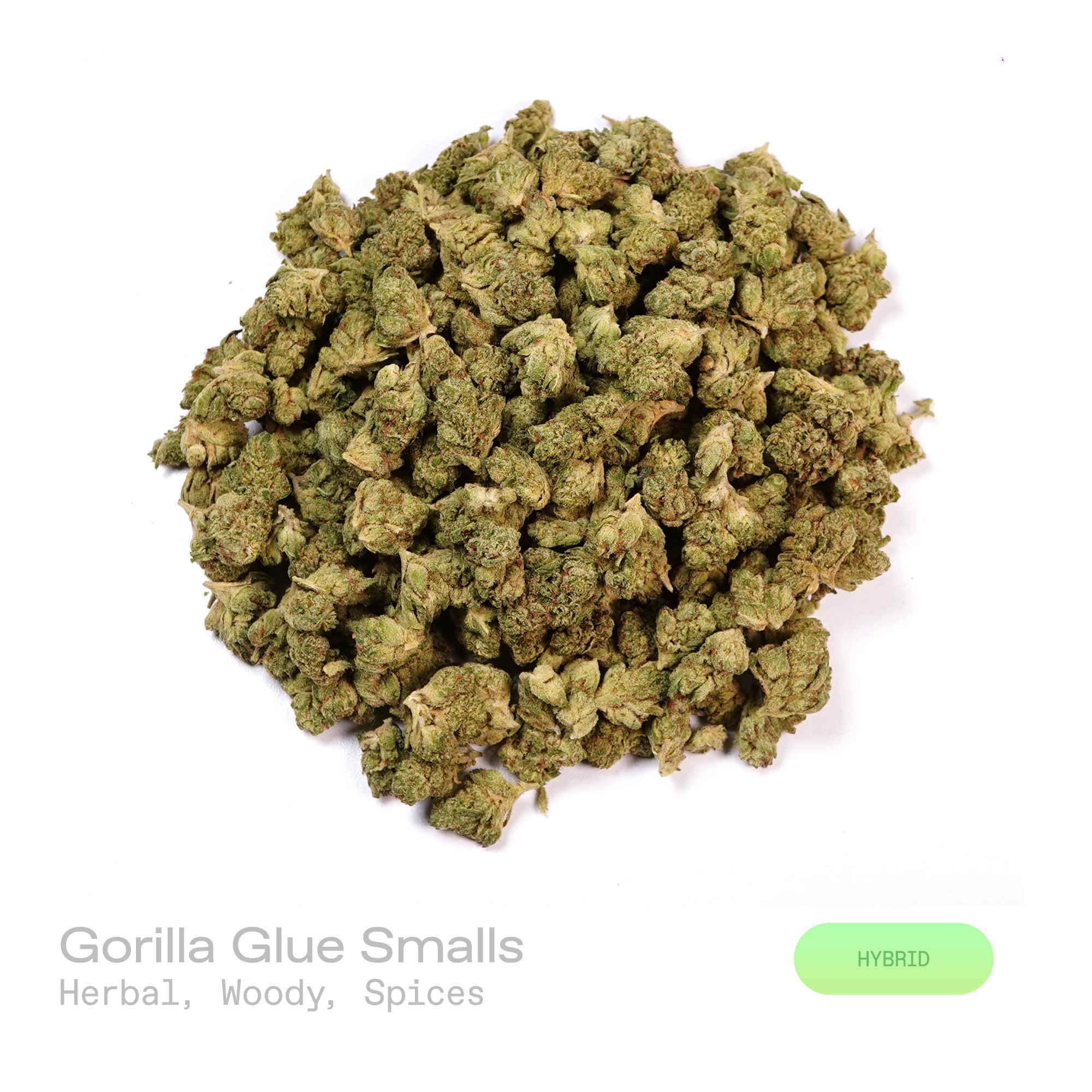 PUFFY Gorilla Glue (smalls) is a balanced hybrid THCa strain emerging from the complex union of  Chem’s Sister, Sour Dubb, and Chocolate Diesel. The aroma is rich with herbal notes, warm woody undertones, and a subtle layer of aromatic spice. Visually, dense forest green buds with purple hues and fiery orange pistils are coated in sticky trichomes. Consumers often report feeling euphoric and uplifted, with a focused yet deeply relaxed experience.  