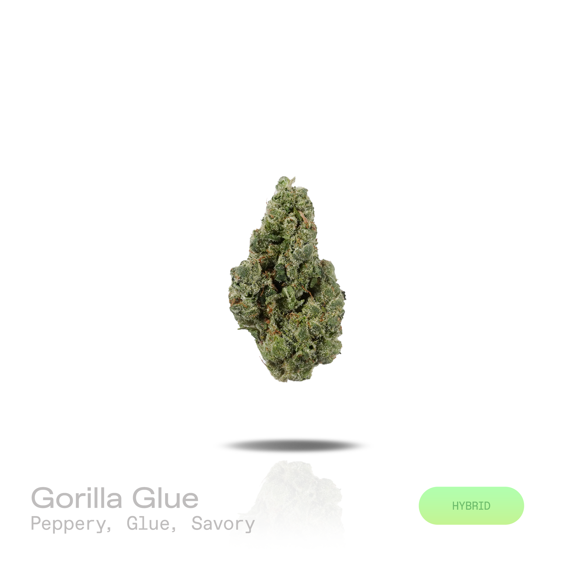PUFFY Gorilla Glue is a balanced hybrid THCa strain emerging from the complex union of  Chem’s Sister, Sour Dubb, and Chocolate Diesel. The aroma is distinctly peppery and glue-like, delivering a rich, pungent character with a savory finish. Visually, dense forest green buds with purple hues and fiery orange pistils are coated in sticky trichomes. Consumers often report feeling euphoric and uplifted, with a focused yet deeply relaxed experience. 