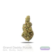 PUFFY Grand Daddy Purple is an indica-dominant hybrid THCa strain bred from a legendary three-way genetic cross of Mendo Purps, Skunk, and Afghan landrace lineage. Aroma is richly expressive, delivering deep dank, sharp skunky, and heavy gassy notes. Visually, dense forest green buds with purple hues and fiery orange pistils are coated in sticky trichomes. Consumers often report a euphoric mood lift paired with deep, full-body relaxation that gently eases tension while elevating overall mood. 