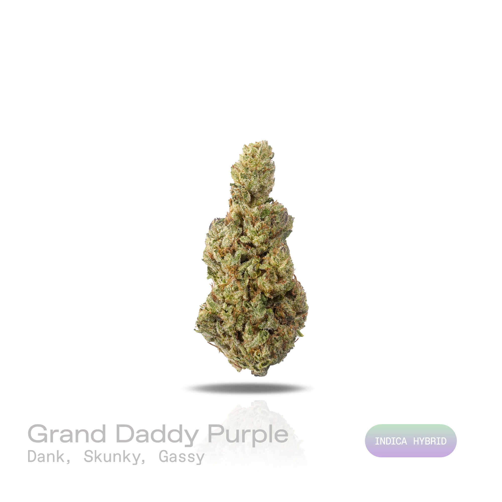 PUFFY Grand Daddy Purple is an indica-dominant hybrid THCa strain bred from a legendary three-way genetic cross of Mendo Purps, Skunk, and Afghan landrace lineage. Aroma is richly expressive, delivering deep dank, sharp skunky, and heavy gassy notes. Visually, dense forest green buds with purple hues and fiery orange pistils are coated in sticky trichomes. Consumers often report a euphoric mood lift paired with deep, full-body relaxation that gently eases tension while elevating overall mood. 