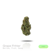 PUFFY Grape Fritter is a balanced hybrid THCa strain derived from the potent genetic collaboration of Grape Ape × Apple Fritter × Jet A. The aroma opens with sweet, juicy berries layered with ripe fruit notes, finishing with a bold, pungent gassy undertone. Visually, dense deep forest green buds with purple hues and fiery orange pistils are coated in sticky trichomes. Consumers often report a euphoric uplift that inspires a creative mindset, promotes a relaxed body sensation, and leaves them feeling calm an