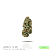 PUFFY Grape Gas is a balanced hybrid THCa strain, created from the fusion of Jet Fuel Gelato and Grape Pie. The aroma opens with bold peppery spice, layered with earthy herbal notes and a rich gassy finish. Visually, it shows deep violet tones with green leaves, orange pistils, and a sparkling coat of trichomes. Consumers often report a stimulating, blissful high that ignites creativity while a gentle body relaxation eases stress and enhances focus, ideal for social moments or creative pursuits. 