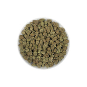 PUFFY Grape Gasoline is a balanced hybrid THCa strain, created from the fusion of Jet Fuel Gelato and Grape Pie. The aroma is a rich blend of earthy notes layered with herbal tones and a hint of warm spice. Visually, it shows deep violet tones with green leaves, orange pistils, and a sparkling coat of trichomes. Consumers often report a stimulating, blissful high that ignites creativity while a gentle body relaxation eases stress and enhances focus, ideal for social moments or creative pursuits.