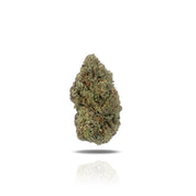 PUFFY THCa Grape Slushie is a fruity and flavorful hybrid born from a cross between Burmese Kush and a combination of Sour Diesel x Burmese, giving this sativa-dominant strain its sweet, grape-like aroma and deep purple hues. Grape Slushie is known for its uplifting effects and inducing creativity, providing a burst of inspiration while keeping the mind clear. Common reported effects include feelings of euphoria, stress relief, and clear focus, making it ideal for attentive activities or enjoying creative b