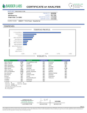 PUFFY Grape Spritzer is a sativa-dominant hybrid THCa strain, expertly crafted from a potent cross between Spritzer and Grape Gasoline. The aroma is a pungent mix of gassy undertones, zesty citrus, and fresh herbal notes. Visually, dense green buds with hints of purple are threaded with fiery orange pistils and coated in a sparkling layer of sticky trichomes. Consumers often report feeling a sharp, invigorating mental boost that clears the mind, sharpens focus, and fuels productivity, leaving them energized