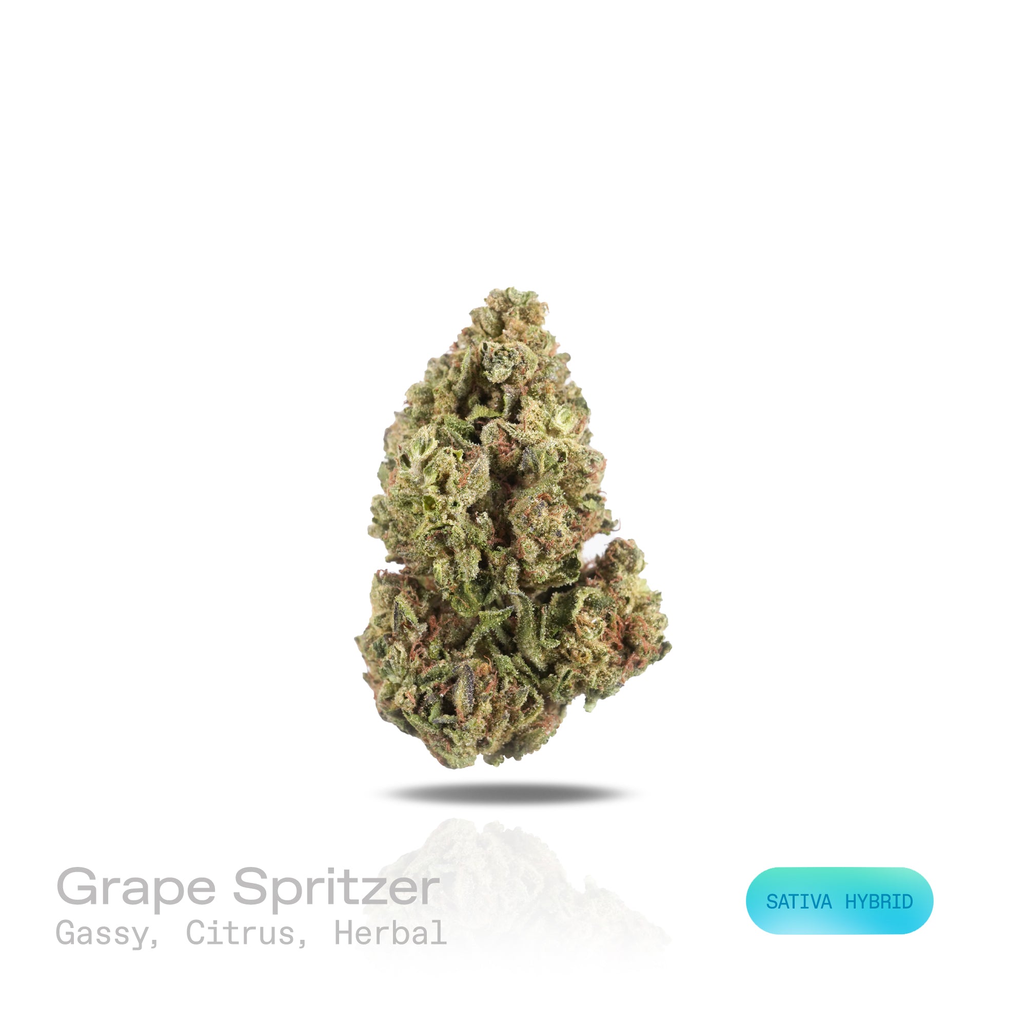 PUFFY Grape Spritzer is a sativa-dominant hybrid THCa strain, expertly crafted from a potent cross between Spritzer and Grape Gasoline. The aroma is a pungent mix of gassy undertones, zesty citrus, and fresh herbal notes. Visually, dense green buds with hints of purple are threaded with fiery orange pistils and coated in a sparkling layer of sticky trichomes. Consumers often report feeling a sharp, invigorating mental boost that clears the mind, sharpens focus, and fuels productivity, leaving them energized
