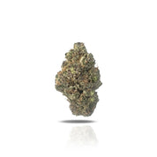 PUFFY Grape Stomper THCa is a flavorful hybrid strain born from Gage Green Seeds’ cross of Purple Elephant and the infamous Chemdawg Sour Diesel. This sativa-dominant strain delivers a balanced high that combines uplifting euphoria with calming body relaxation. Its dense, purple-hued flowers are often adorned with vibrant orange hairs, enhancing its visual appeal. Grape Stomper is favored for its ability to relieve stress, enhance mood, and promote creativity, making it a versatile choice for all times of t
