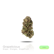 PUFFY Grapelicious is a balanced hybrid THCa strain, shaped through the genetic blending of Mimosa and Miracle Vanilla Frosting. The aroma bursts with sweet ripe grapes layered over bright notes of fresh orange and zesty grapefruit. Visually, dense fresh green buds with purple hues and fiery orange pistils are coated in sticky trichomes. Consumers often report a euphoric and uplifting mood accompanied by greater social engagement and increased conversational flow, complemented by a mild, relaxing sense of e