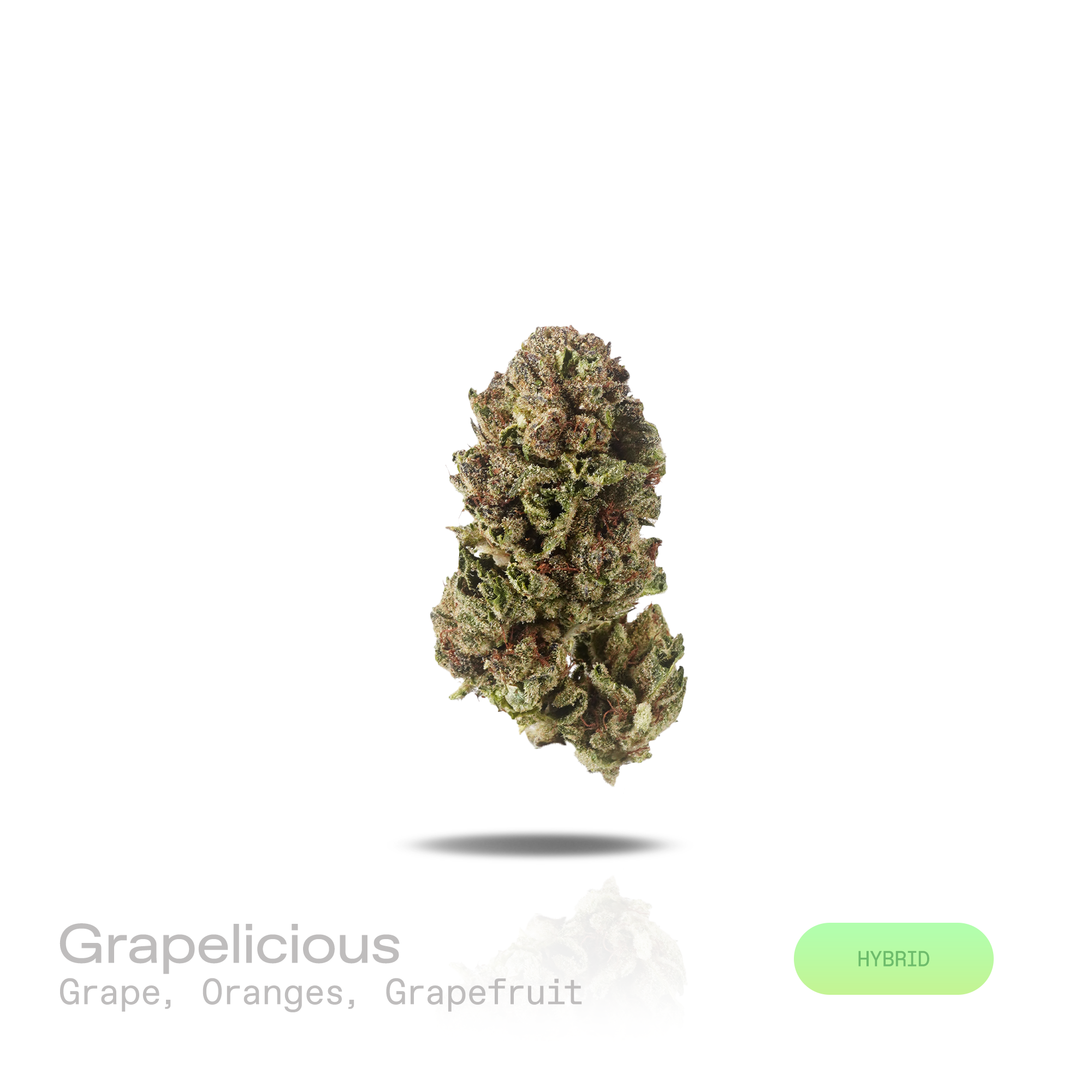 PUFFY Grapelicious is a balanced hybrid THCa strain, shaped through the genetic blending of Mimosa and Miracle Vanilla Frosting. The aroma bursts with sweet ripe grapes layered over bright notes of fresh orange and zesty grapefruit. Visually, dense fresh green buds with purple hues and fiery orange pistils are coated in sticky trichomes. Consumers often report a euphoric and uplifting mood accompanied by greater social engagement and increased conversational flow, complemented by a mild, relaxing sense of e