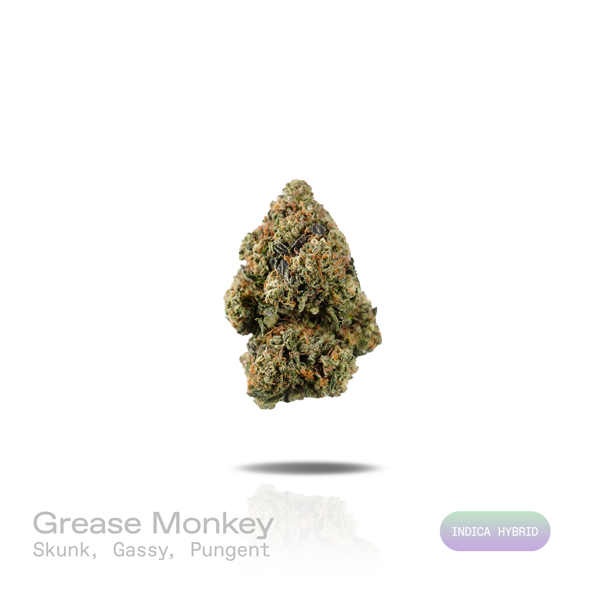 PUFFY Grease Monkey is a potent indica-dominant hybrid THCa strain resulting from the strategic pairing of GG4 and Cookies and Cream. The aroma opens with bold skunky notes layered with rich diesel gas and a pungent earthy finish. Visually, dense forest green buds with purple hues and fiery orange pistils are coated in sticky trichomes. Consumers often report a euphoric cerebral buzz that elevates the mood and inspires creativity before gradually melting into deep body relaxation, helping to ease tension an