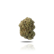 PUFFY Green Crack THCa is well-known for its uplifting cerebral and energetic effects, making it a popular choice for daytime use. It typically provides a burst of euphoria and increased focus, often helping to alleviate fatigue and stress. This strain is a potent sativa, with a lineage tracing back to Skunk #1 and an influence of Afghani genetics.