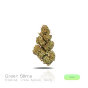 PUFFY Green Slime is a balanced hybrid THCa strain with an unverified and unofficially documented genetic lineage. The aroma is a vibrant blend of tropical fruit, crisp green apple, and sweet, candy-like notes that create a bright, fruity, and pleasantly sugary scent profile. Visually, dense forest green buds with purple hues and fiery orange pistils are coated in sticky trichomes. Consumers often report feelings of euphoria and elevated mood, accompanied by a gently relaxed body sensation and a mild boost 