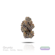 PUFFY Gruntz is an indica-dominant hybrid THCa strain born from the distinguished cross of Original Z and Gelato. The aroma opens with a bold grape-forward sweetness layered over sugary candy notes, while a deep gassy undertone adds a pungent, fuel-like edge. Visually, dense deep forest green buds with purple hues and fiery orange pistils are coated in sticky trichomes. Consumers often report a euphoric and uplifting mental state with improved focus, accompanied by a deep sense of calm and a soothing body r