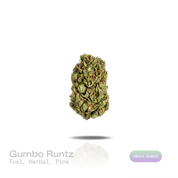 PUFFY Gumbo Runtz is an indica-dominant hybrid THCa strain with genetics that have yet to be publicly revealed, leaving its true lineage unknown. The aroma is a bold blend of fuel and herbal notes, finished with a crisp, refreshing touch of pine. Visually, dense forest green buds with purple hues and fiery orange pistils are coated in sticky trichomes. Consumers often report an uplifting wave of euphoria that gradually settles into deep relaxation, promoting a profound sense of calm, stress relief, and ment