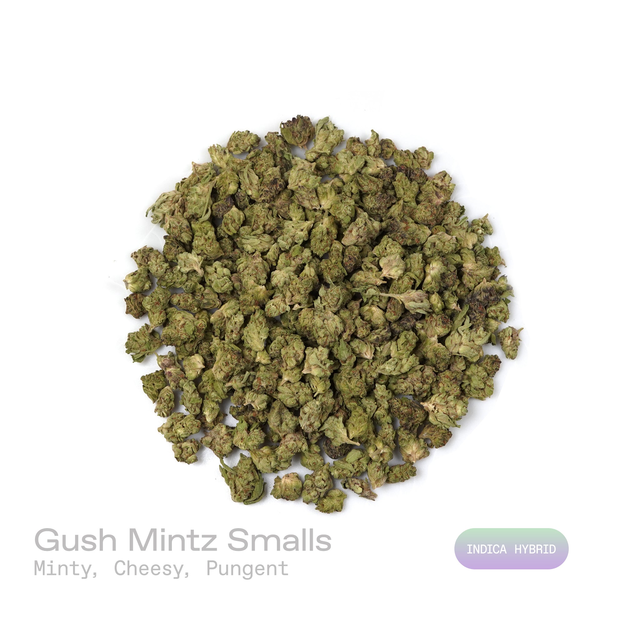 PUFFY Gush Mintz (smalls) is an indica-dominant hybrid THCa strain, born from the cross of Kush Mints × (F1 Durb × Gushers). The aroma greets the senses with a sharp minty freshness, rich cheesy notes, and a bold, pungent undertone. Visually, the buds are dense and striking, showcasing dark green and deep purple hues intertwined with vibrant orange pistils and a sparkling layer of shimmering trichomes. Consumers often describe a powerful, body-zapping high that dissolves stress and tension, leaving the mind