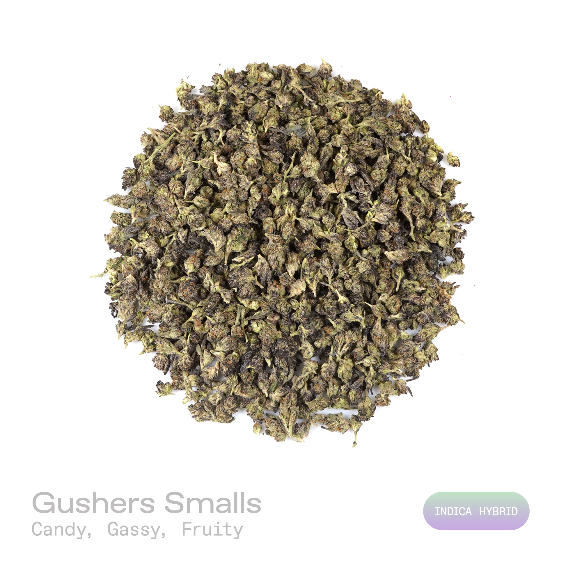 PUFFY Gushers (smalls) is an indica-dominant hybrid THCa strain, created by expertly crossing Gelato #41 and Triangle Kush. The aroma is a delightful blend of sweet candy, pungent gassy notes, and vibrant fruity undertones. Visually, the buds impress with dense forest-green hues and purple accents, orange pistils and frosty trichomes. Consumers often describe an initial surge of bright, euphoric energy that uplifts the mind, gradually easing into a soothing, full-bodied relaxation that leaves both body and 
