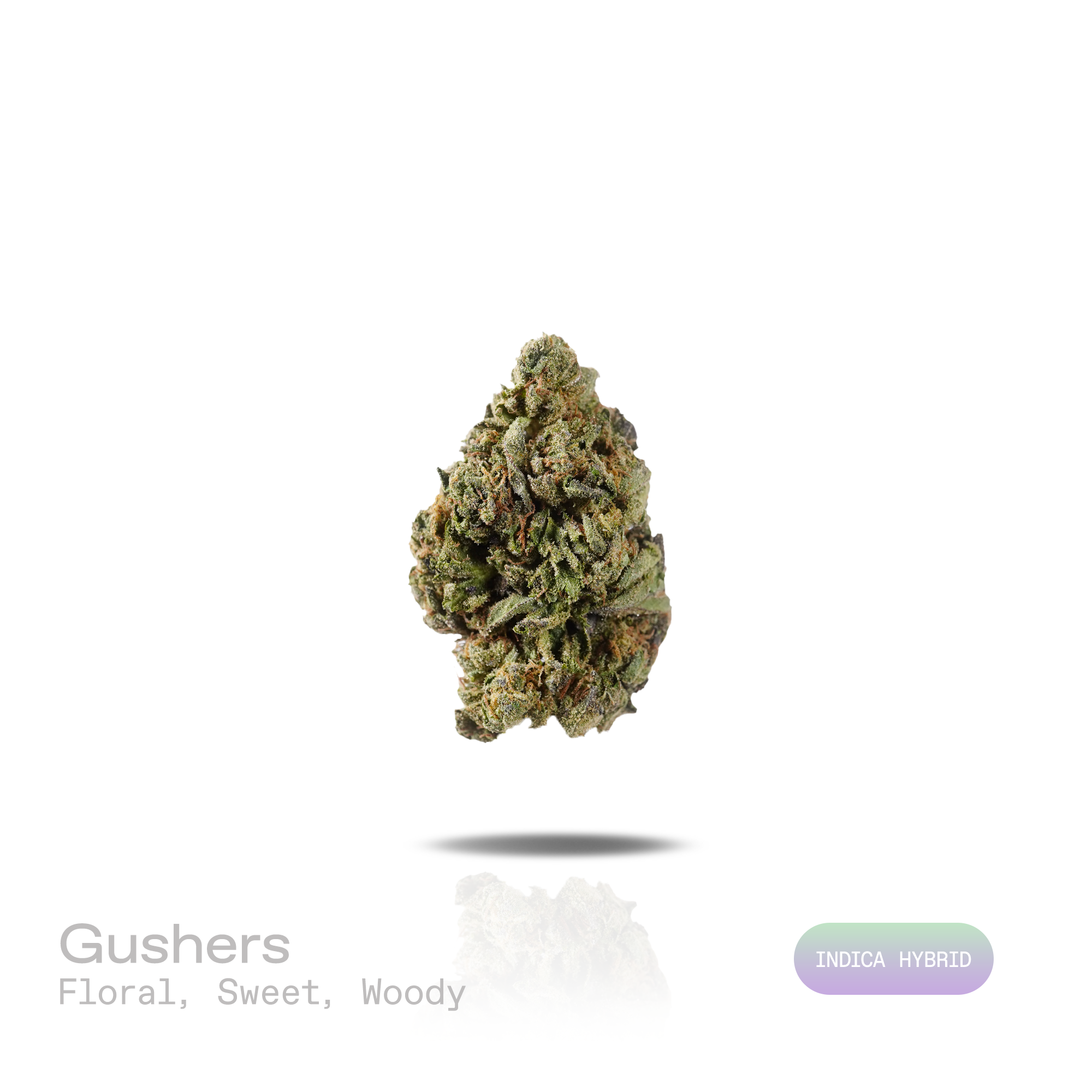 PUFFY Gushers is an indica-dominant hybrid THCa strain, created by expertly crossing Gelato #41 and Triangle Kush. The aroma opens with delicate floral notes, layered with a gentle sweetness and finished by rich, woody undertones for a smooth, well-balanced scent. Visually, the buds impress with dense forest-green hues and purple accents, orange pistils and frosty trichomes. Consumers often describe an initial surge of bright, euphoric energy that uplifts the mind, gradually easing into a soothing, full-bod