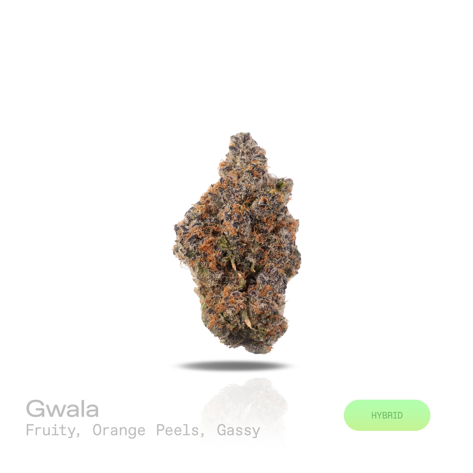 PUFFY Gwala is a balanced hybrid THCa strain created by crossing Rainbow Beltz and Moonbow. The aroma bursts with fruity notes layered with zesty orange peels and a bold gassy undertone, creating a vibrant and invigorating scent profile. Visually, dense buds draw the eye with vivid greens, deep purples, and fiery oranges, all wrapped in a sparkling blanket of resinous trichomes. Consumers often experience a balanced high that lifts the mood with euphoria and mental clarity before easing into calming physica