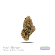 PUFFY Hash Burger is an indica-dominant hybrid THCa strain, born from the masterful cross between Han Solo Hash Plant × Double Burger. The aroma is a bold and savory blend, featuring sharp piney notes intertwined with the pungent essence of onions and the subtle warmth of garlic. Visually, dense forest-green buds with purple hues and fiery orange pistils are coated in sticky trichomes. Consumers often report an experience that begins with a euphoric cerebral rush, gradually easing into deep body relaxation 