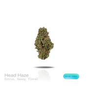 PUFFY Head Haze is a sativa-dominant hybrid THCa strain resulting from the expertly blended union of Brain OG and Tom Hill’s Haze. The aroma blends bright citrus notes with a pungent, gassy character, finishing with a delicate floral touch. Visually, dense forest green buds with purple hues and fiery orange pistils are coated in sticky trichomes. Consumers often report a euphoric, uplifting, and energetic experience that sparks creativity while delivering a soothing sense of body relaxation. 