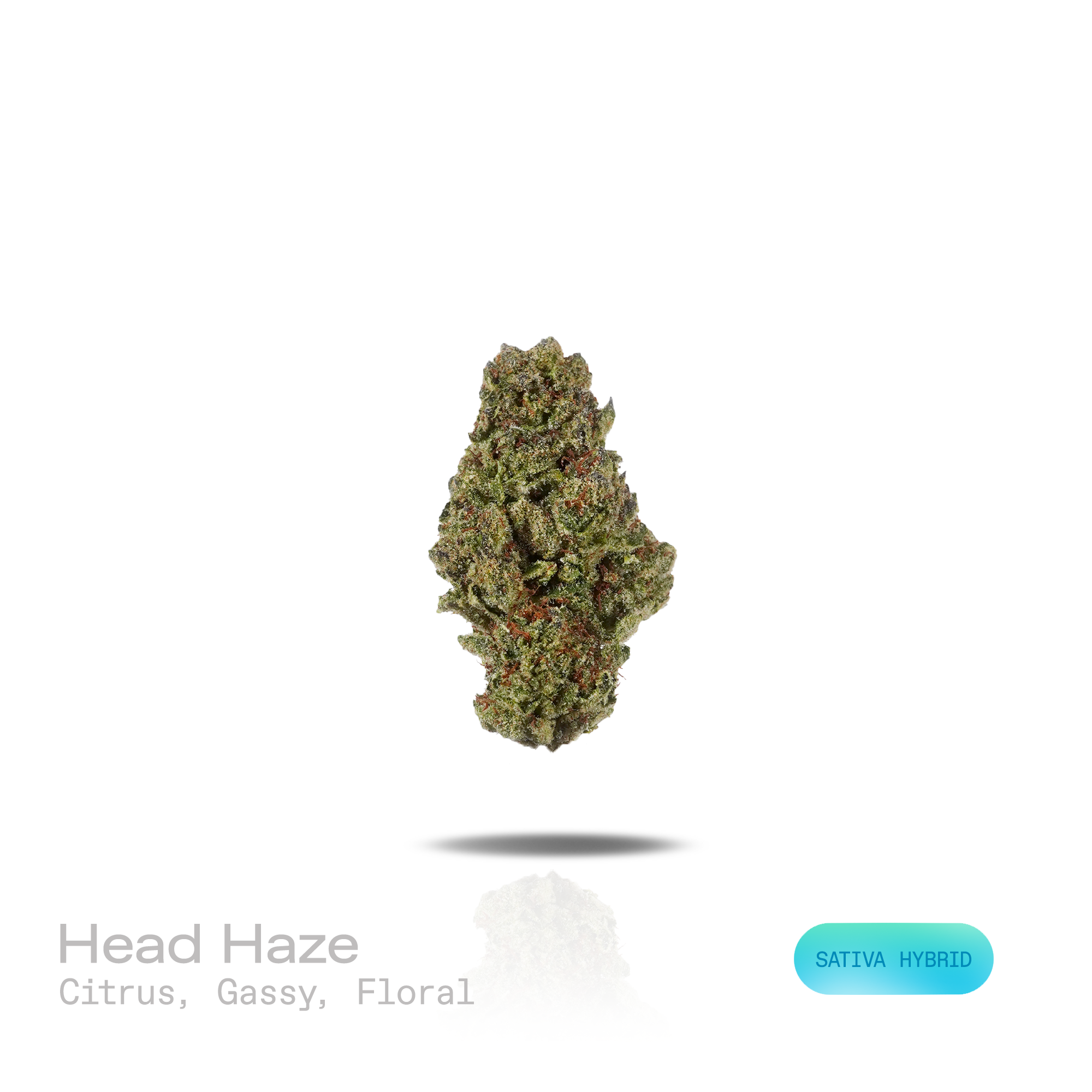PUFFY Head Haze is a sativa-dominant hybrid THCa strain resulting from the expertly blended union of Brain OG and Tom Hill’s Haze. The aroma blends bright citrus notes with a pungent, gassy character, finishing with a delicate floral touch. Visually, dense forest green buds with purple hues and fiery orange pistils are coated in sticky trichomes. Consumers often report a euphoric, uplifting, and energetic experience that sparks creativity while delivering a soothing sense of body relaxation. 