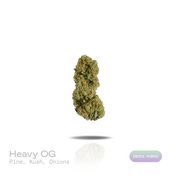 PUFFY Heavy OG is an indica-dominant hybrid THCa strain crafted through the exceptional fusion of  Hell’s OG and Ghost OG. The aroma is a pungent blend of earthy pine and rich kush notes, finishing with a savory onion-like pungency. Visually, dense deep forest green buds with purple hues and fiery orange pistils are coated in sticky trichomes. Consumers often report a euphoric, deeply relaxing experience accompanied by a calming body high that promotes a sense of physical and mental ease. 