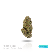 PUFFY High Tide is a sativa-dominant hybrid THCa strain, officially recognized as an unknown genetic cross with no confirmed lineage. The aroma opens with fragrant herbal notes, highlighted by the savory character of fresh thyme and layered with the dry, woody essence of cedar. Visually, dense forest green buds with purple hues and fiery orange pistils are coated in sticky trichomes. Consumers often report an uplifting and euphoric experience marked by enhanced creativity, sharpened focus, greater social ea