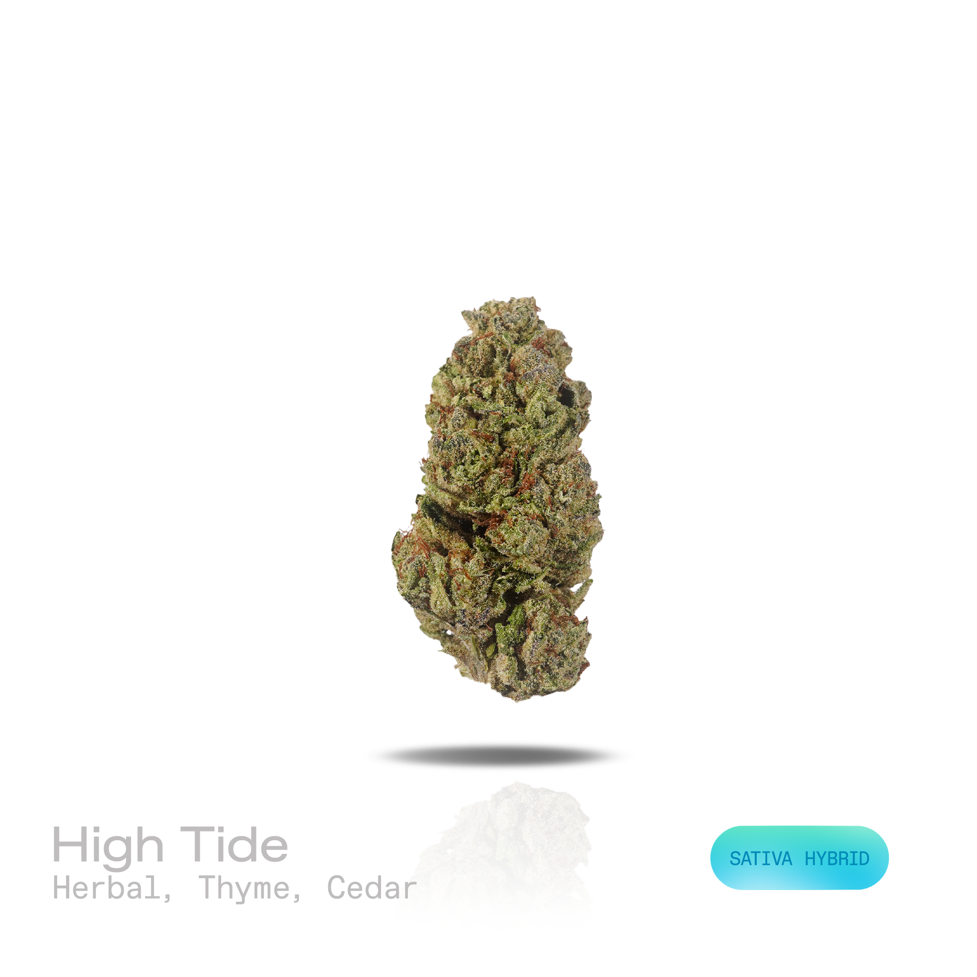 PUFFY High Tide is a sativa-dominant hybrid THCa strain, officially recognized as an unknown genetic cross with no confirmed lineage. The aroma opens with fragrant herbal notes, highlighted by the savory character of fresh thyme and layered with the dry, woody essence of cedar. Visually, dense forest green buds with purple hues and fiery orange pistils are coated in sticky trichomes. Consumers often report an uplifting and euphoric experience marked by enhanced creativity, sharpened focus, greater social ea