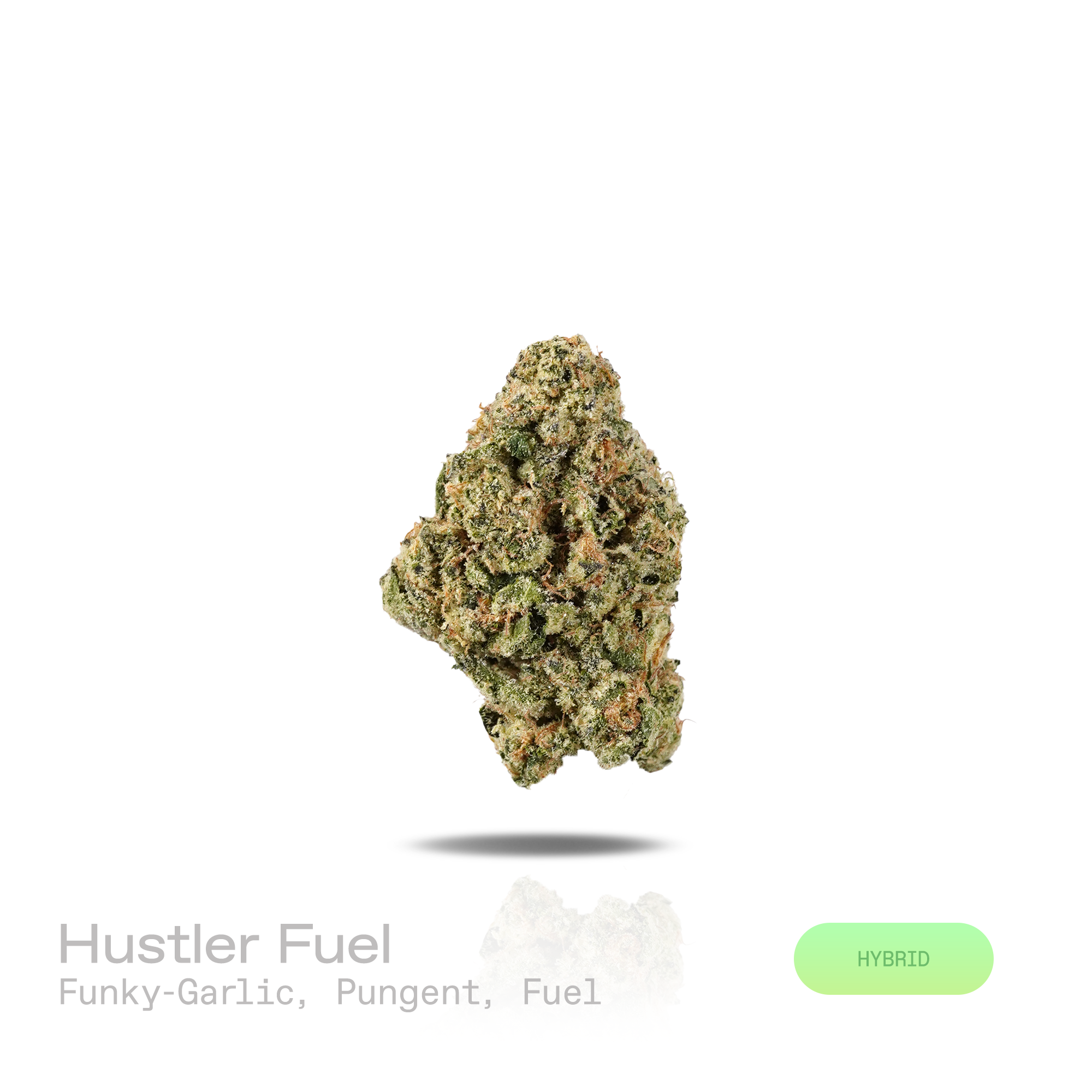 Chemdawg-descended hybrid (not officially verified). The aroma opens with funky savory notes and earthy garlic undertones, followed by a pungent intensity and sharp fuel-like character. Visually, dense forest green buds with purple hues and fiery orange pistils are coated in sticky trichomes. Consumers often report an uplifting euphoric buzz paired with enhanced focus, heightened mental clarity, and a deep