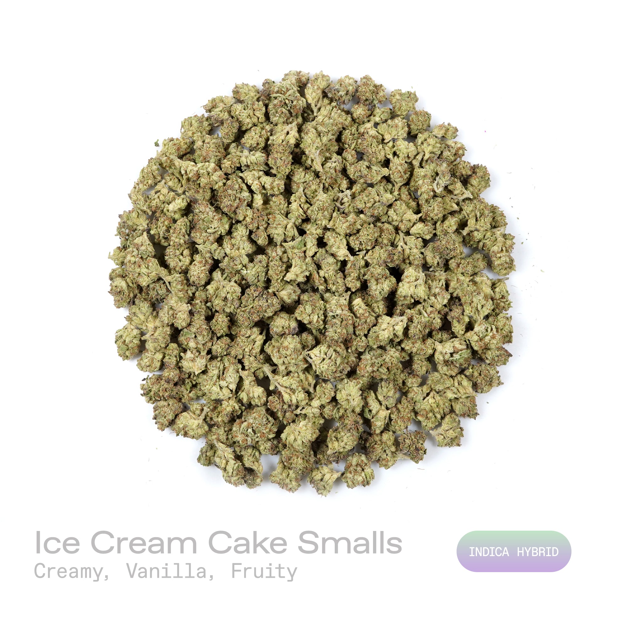PUFFY Ice Cream Cake (smalls) is an Indica-dominant hybrid THCa strain, born from the potent cross between Wedding Cake and Gelato #33. The aroma is a luscious blend of creamy, vanilla, and fruity notes that immediately delights the senses. Visually, its buds are dense and chunky, showcasing a vibrant mix of green and purple hues with occasional touches of lavender, accented by fiery orange pistils. Consumers often report an experience that begins with a euphoric, uplifting cerebral high, gradually 
easing 