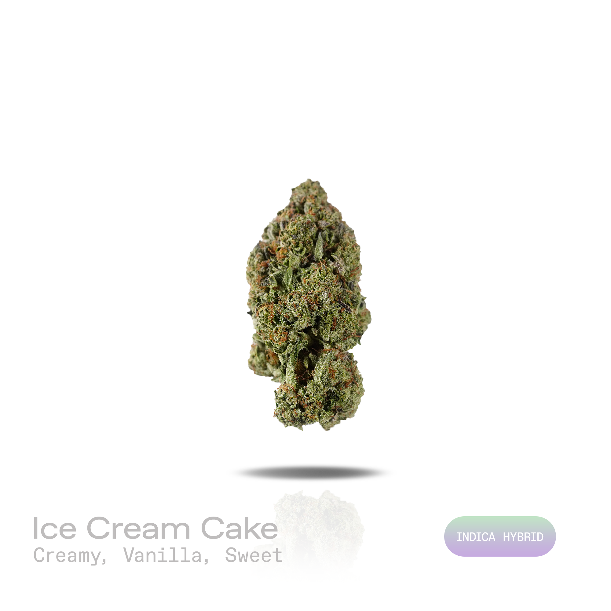 PUFFY Ice Cream Cake is an Indica-dominant hybrid THCa strain expertly curated from the flavorful pairing of Wedding Cake and Gelato 33. The aroma is rich and creamy, accented by smooth vanilla notes and a naturally sweet finish. Visually, its buds are dense and chunky, showcasing a vibrant mix of green and purple hues with occasional touches of lavender, accented by fiery orange pistils. Consumers often report an experience that begins with a euphoric, uplifting cerebral high, gradually easing into a deep,