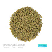 PUFFY Illemonati (smalls) is a sativa-dominant hybrid THCa strain born from the flavorful union of Gelonade and Biscotti. The aroma is intensely pungent, with funky undertones and a distinct gassy edge that immediately commands attention. Visually, medium to large dense conical buds display a blend of forest and lime greens with occasional purple swirls, coated in glistening trichomes and accented by fiery orange pistils. Consumers often describe the experience as bright and invigorating, sparking creativit